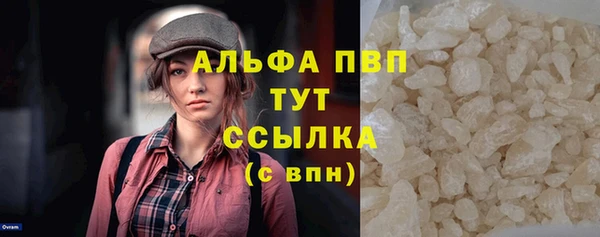 дживик Богородск