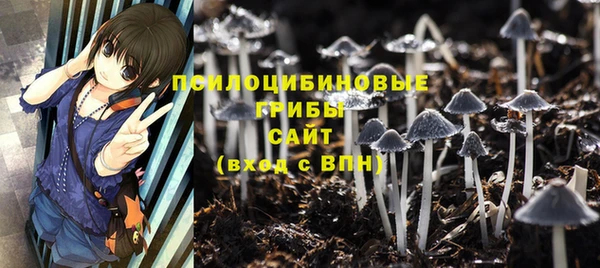 мяу мяу мука Богданович
